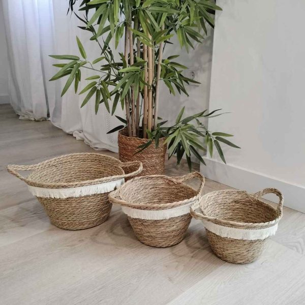 Conjunto cestas fibras naturales bahía
