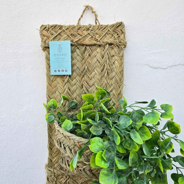 Macetero redondo individual - Imagen 4